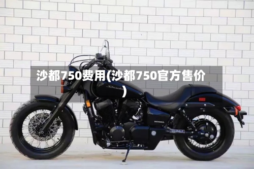 沙都750费用(沙都750官方售价)-第2张图片