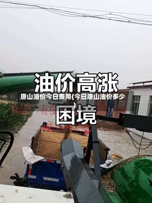 唐山油价今日费用(今日唐山油价多少)-第2张图片