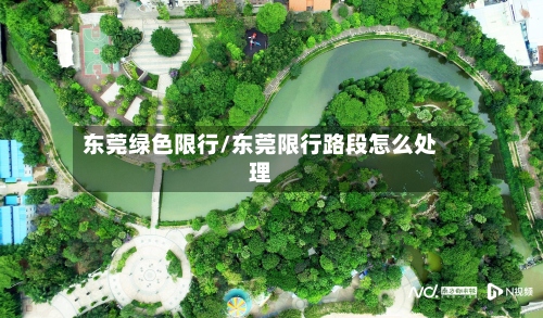 东莞绿色限行/东莞限行路段怎么处理-第2张图片