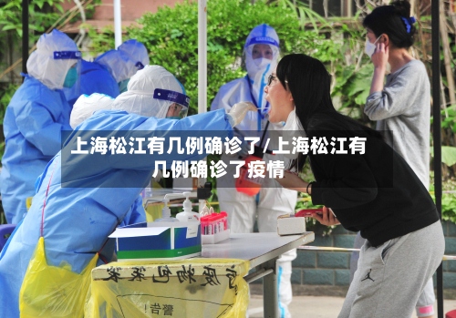 上海松江有几例确诊了/上海松江有几例确诊了疫情-第2张图片