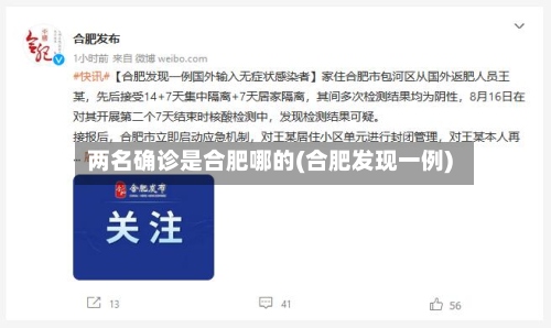 两名确诊是合肥哪的(合肥发现一例)-第2张图片