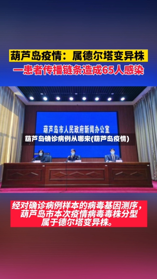 葫芦岛确诊病例从哪来(葫芦岛疫情)-第2张图片