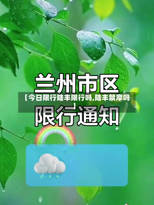 【今日限行陆丰限行吗,陆丰禁摩吗】-第2张图片