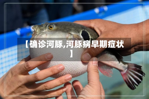 【确诊河豚,河豚病早期症状】