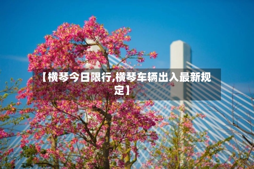 【横琴今日限行,横琴车辆出入最新规定】-第2张图片