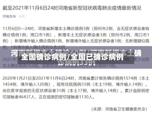 全国确诊病例/全国已确诊病例-第2张图片