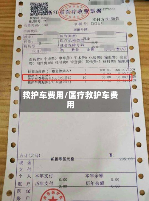 救护车费用/医疗救护车费用