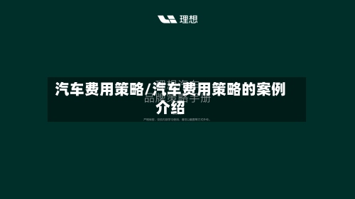 汽车费用策略/汽车费用策略的案例介绍-第2张图片