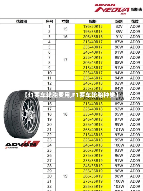 【f1赛车轮胎费用,F1赛车轮胎种类】