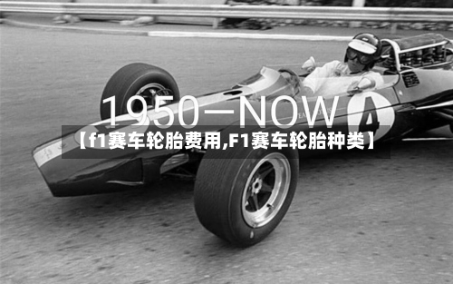 【f1赛车轮胎费用,F1赛车轮胎种类】-第2张图片