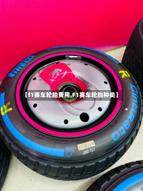 【f1赛车轮胎费用,F1赛车轮胎种类】-第3张图片