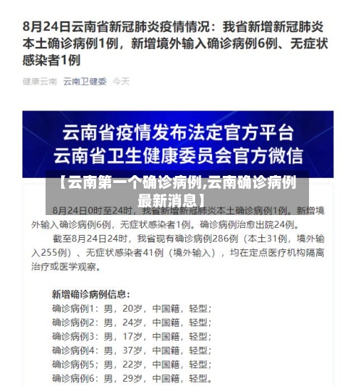 【云南第一个确诊病例,云南确诊病例最新消息】-第2张图片