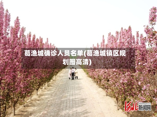 葛渔城确诊人员名单(葛渔城镇区规划图高清)