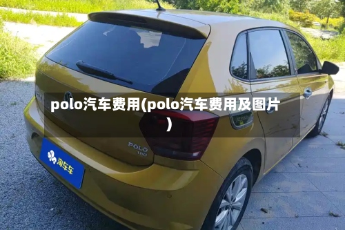 polo汽车费用(polo汽车费用及图片)-第3张图片