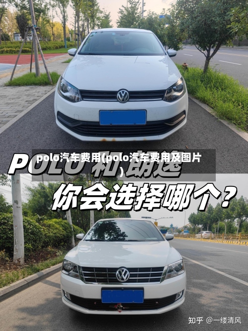 polo汽车费用(polo汽车费用及图片)-第2张图片