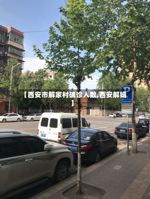 【西安市解家村确诊人数,西安解娟】