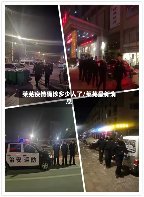 莱芜疫情确诊多少人了/莱芜最新消息-第3张图片