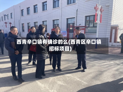 西青辛口镇有确诊的么(西青区辛口镇招标项目)-第2张图片