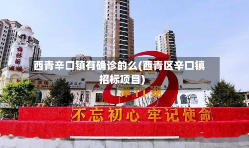 西青辛口镇有确诊的么(西青区辛口镇招标项目)
