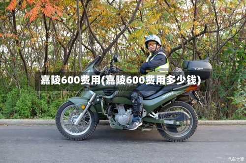 嘉陵600费用(嘉陵600费用多少钱)