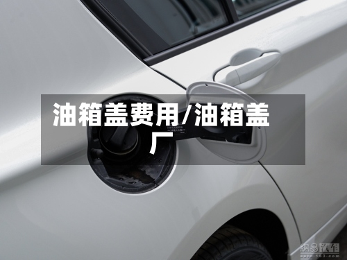 油箱盖费用/油箱盖厂-第2张图片