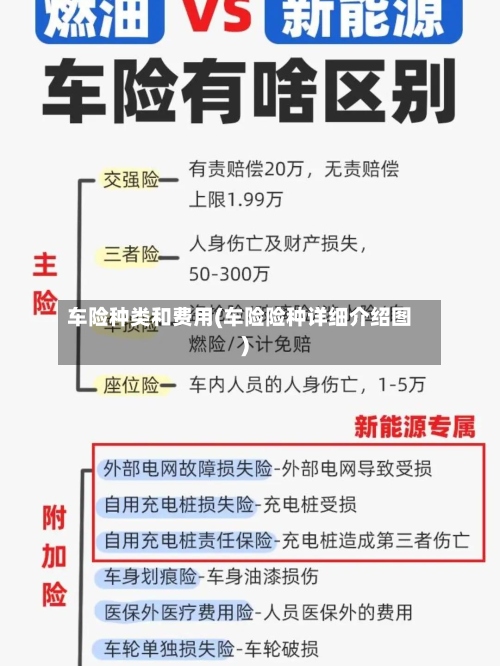 车险种类和费用(车险险种详细介绍图)