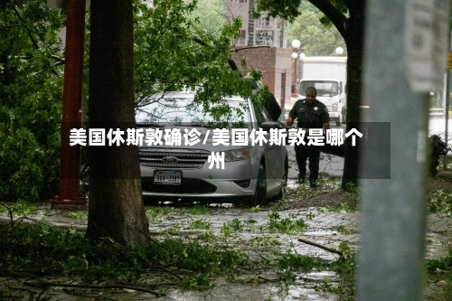 美国休斯敦确诊/美国休斯敦是哪个州