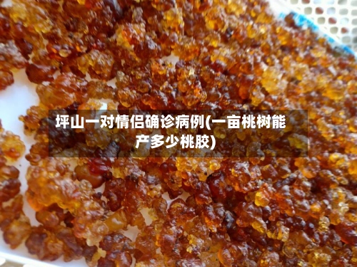 坪山一对情侣确诊病例(一亩桃树能产多少桃胶)