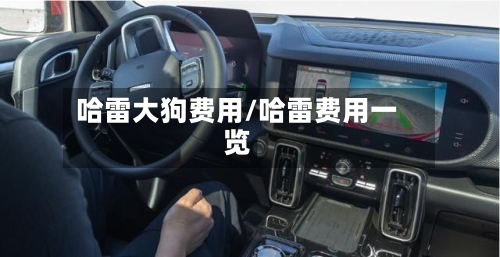 哈雷大狗费用/哈雷费用一览