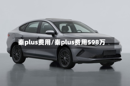 秦plus费用/秦plus费用598万-第2张图片