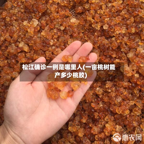 松江确诊一例是哪里人(一亩桃树能产多少桃胶)-第2张图片
