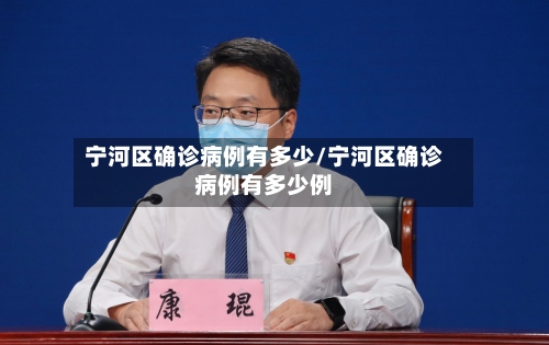 宁河区确诊病例有多少/宁河区确诊病例有多少例