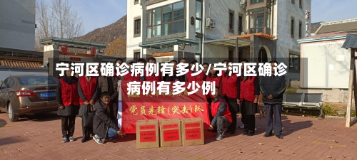 宁河区确诊病例有多少/宁河区确诊病例有多少例-第2张图片
