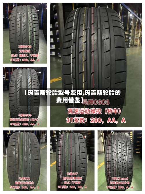 【玛吉斯轮胎型号费用,玛吉斯轮胎的费用借鉴】-第2张图片