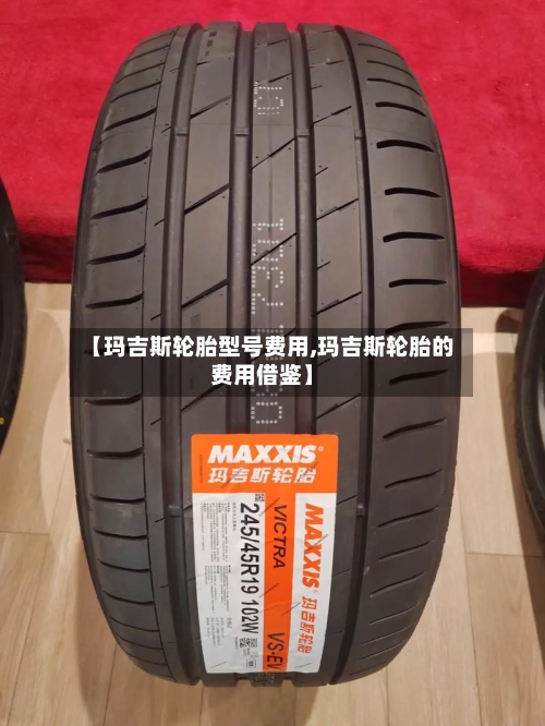 【玛吉斯轮胎型号费用,玛吉斯轮胎的费用借鉴】