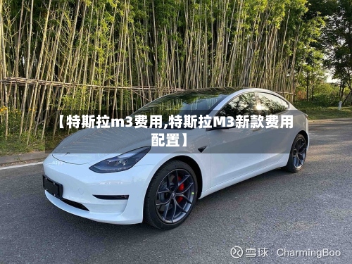 【特斯拉m3费用,特斯拉M3新款费用配置】-第3张图片