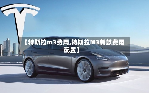 【特斯拉m3费用,特斯拉M3新款费用配置】-第2张图片