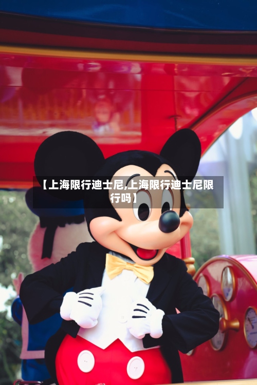 【上海限行迪士尼,上海限行迪士尼限行吗】-第3张图片