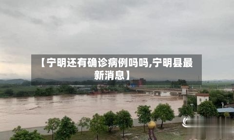 【宁明还有确诊病例吗吗,宁明县最新消息】-第3张图片