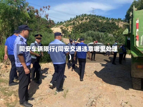 同安车辆限行(同安交通违章哪里处理)-第3张图片