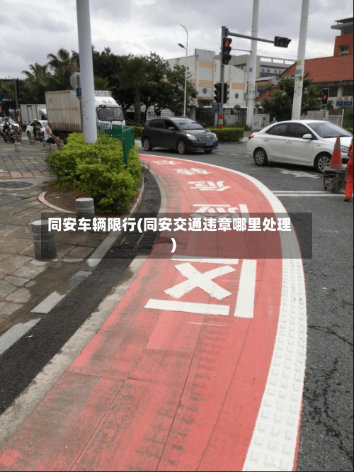同安车辆限行(同安交通违章哪里处理)-第2张图片