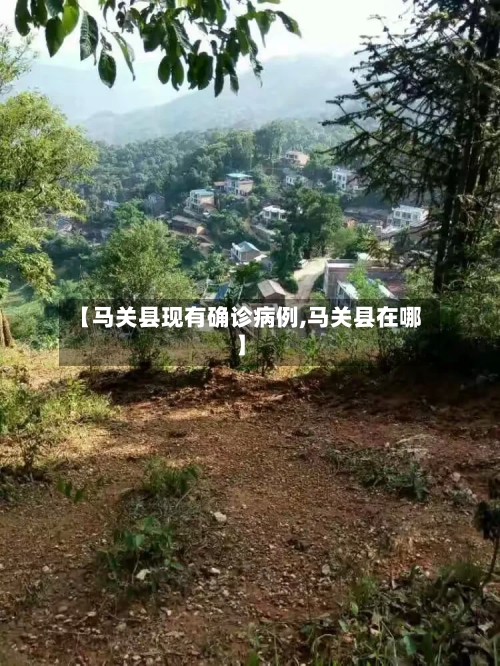 【马关县现有确诊病例,马关县在哪】-第2张图片