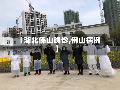 【湖北佛山确诊,佛山病例】