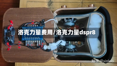 洛克力量费用/洛克力量dspr8-第2张图片