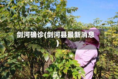 剑河确诊(剑河县最新消息)