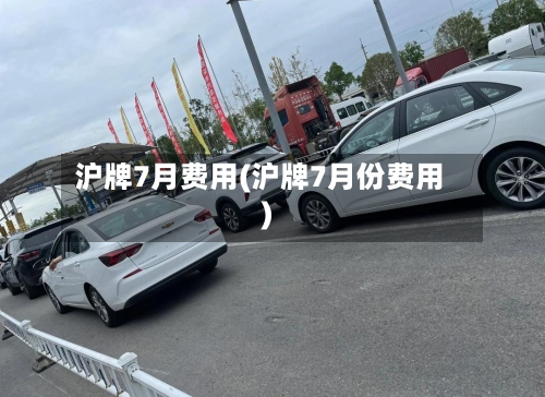 沪牌7月费用(沪牌7月份费用)-第2张图片