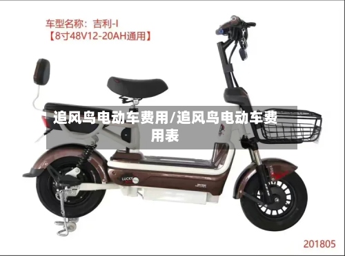 追风鸟电动车费用/追风鸟电动车费用表-第2张图片