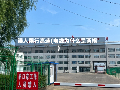 误入限行高速(电线为什么是两根)-第2张图片