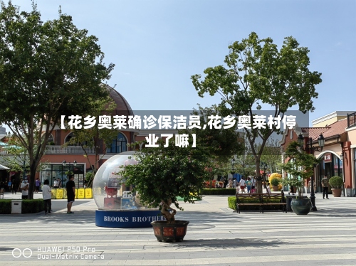 【花乡奥莱确诊保洁员,花乡奥莱村停业了嘛】-第2张图片