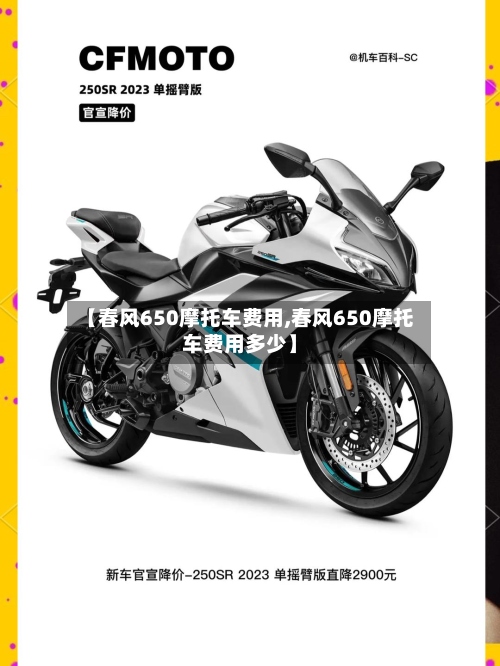 【春风650摩托车费用,春风650摩托车费用多少】-第2张图片
